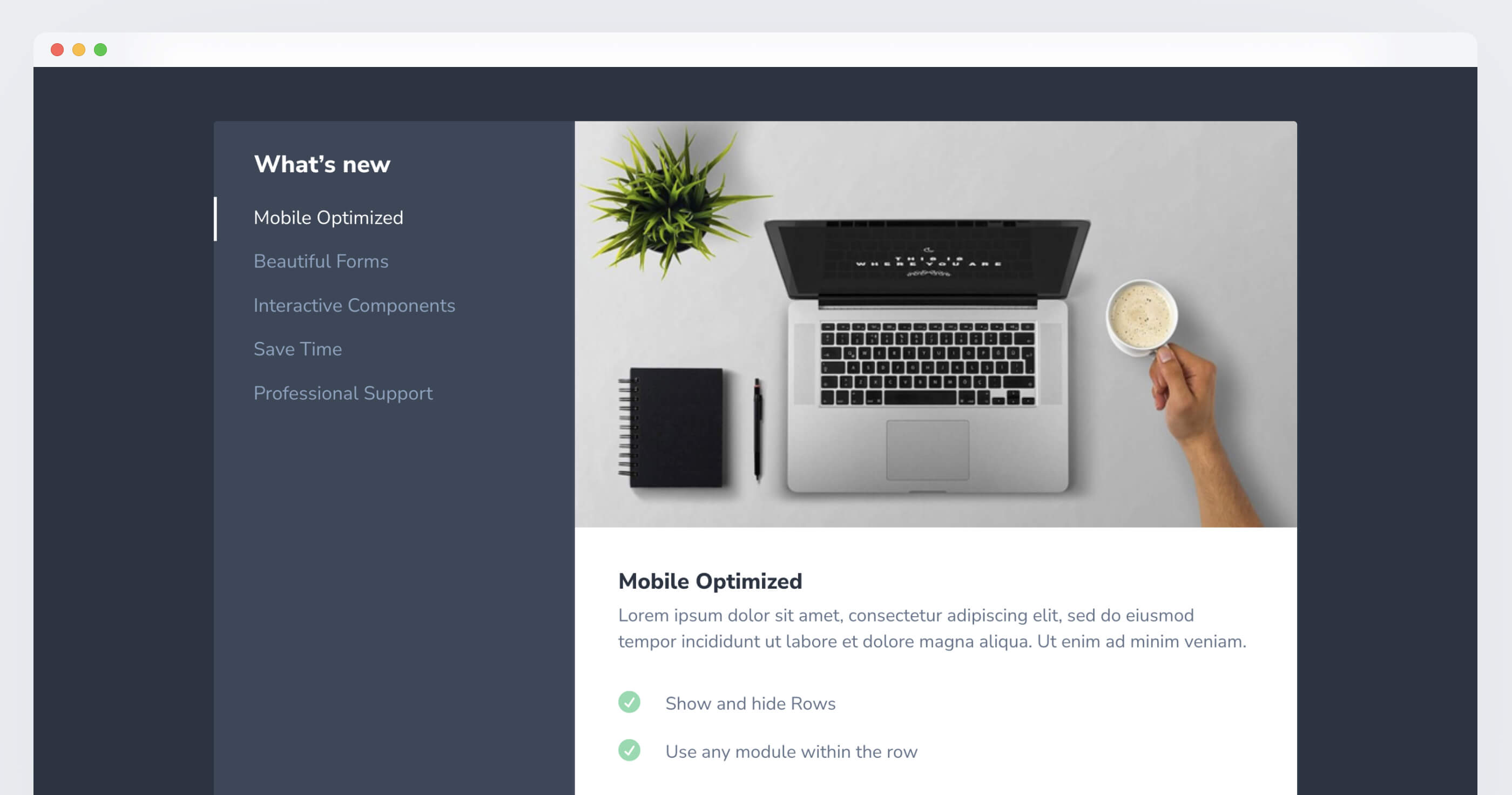 DiviWP screenshot